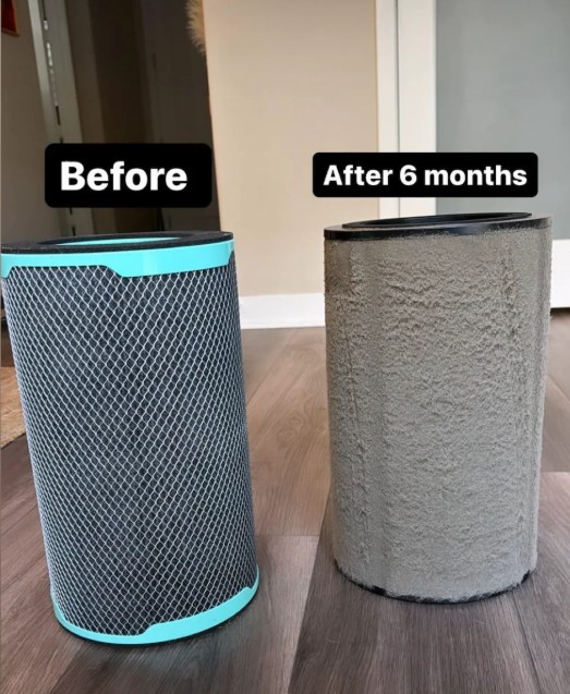 Jasper Air Purifier - Image 3